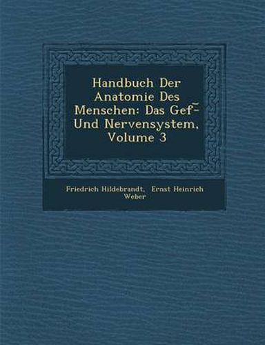 Cover image for Handbuch Der Anatomie Des Menschen: Das Gef - Und Nervensystem, Volume 3