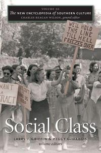 Cover image for The New Encyclopedia of Southern Culture: Volume 20: Social Class