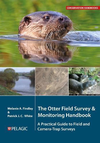 Cover image for The Otter Field Survey and Monitoring Handbook