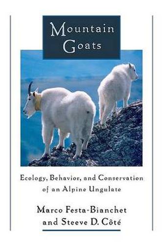 Cover image for Mountain Goats: Ecology, Behavior, and Conservation of an Alpine Ungulate