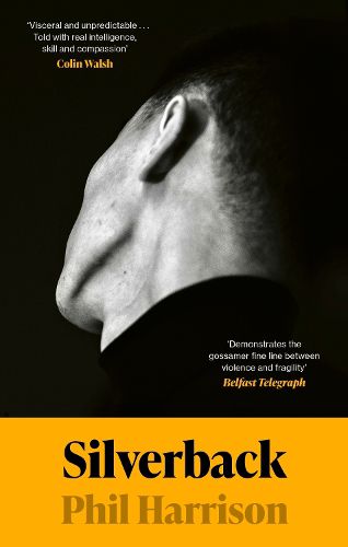 Cover image for Silverback