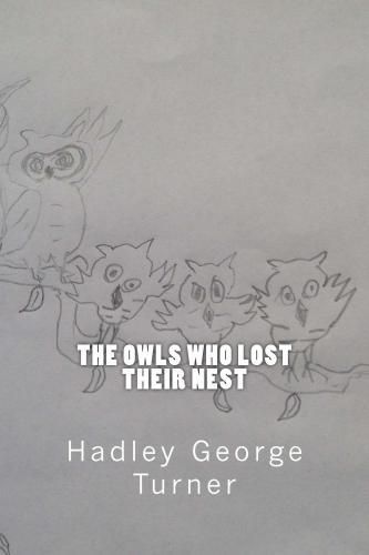 The Owls Who Lost Their Nest