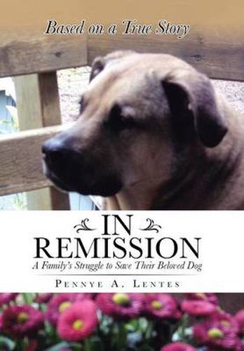 Cover image for In Remission