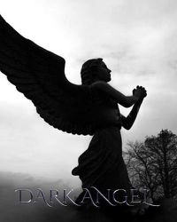 Cover image for Dark Angel