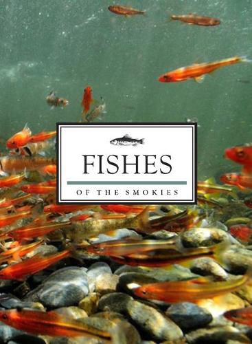 Cover image for Fishes of the Smokies