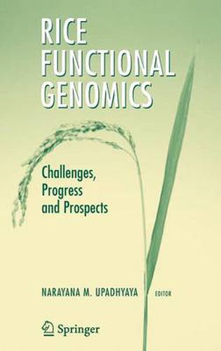 Rice Functional Genomics: Challenges, Progress and Prospects