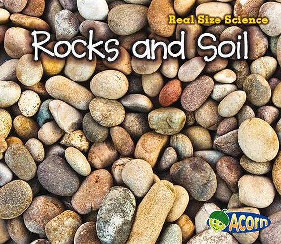 Cover image for Rocks and Soil: Real Size Science (Real Size Science)