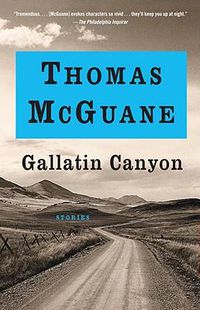 Cover image for Gallatin Canyon: Stories