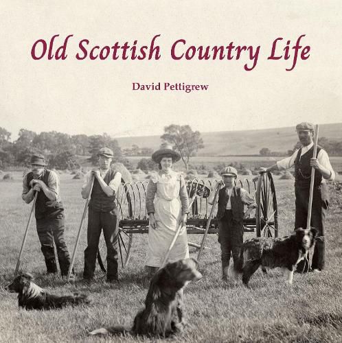 Cover image for Old Scottish Country Life