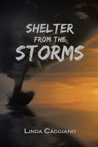 Cover image for Shelter from the Storms