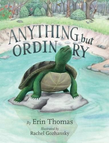 Cover image for Anything But Ordinary