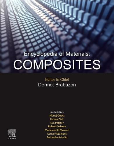 Cover image for Encyclopedia of Materials: Composites