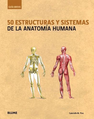 50 Estructuras Y Sistemas de la Anatomia Humana