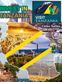Cover image for INVEST IN TANZANIA - Visit Tanzania - Celso Salles