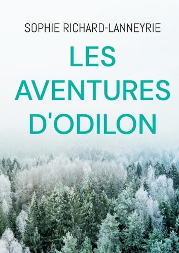 Cover image for Les aventures d'Odilon
