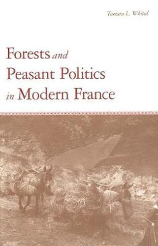 Cover image for Forests and Peasant Politics in Modern France