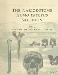 Cover image for The Nariokotome Homo Erectus Skeleton