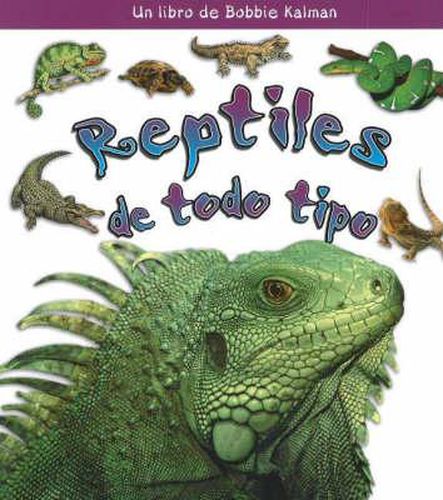 Cover image for Reptiles de Todo Tipo (Reptiles of All Kinds)