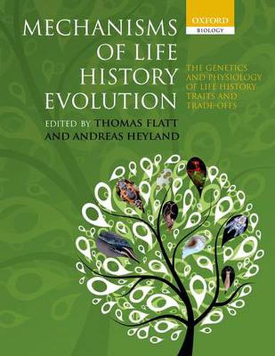 Cover image for Mechanisms of Life History Evolution: The Genetics and Physiology of Life History Traits and Trade-Offs