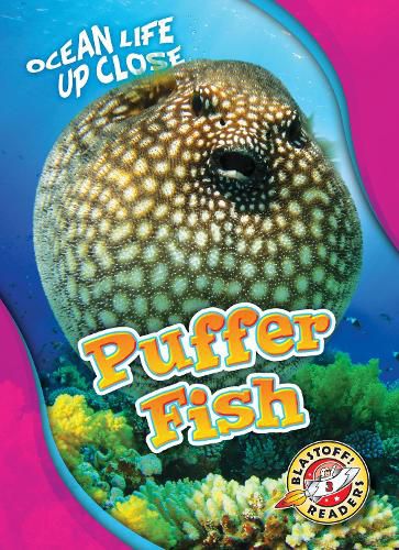 Puffer Fish