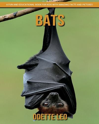 Bats