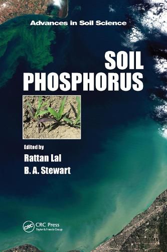 Cover image for Soil Phosphorus