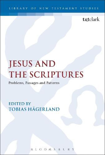 Cover image for Jesus and the Scriptures: Problems, Passages and Patterns