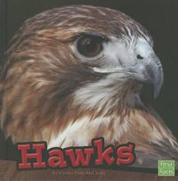 Cover image for Hawks