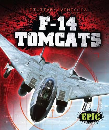 Cover image for F-14 Tomcats