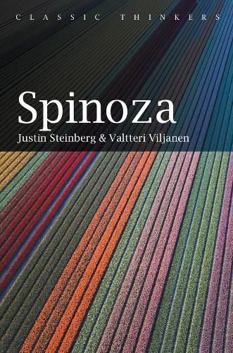 Cover image for Spinoza