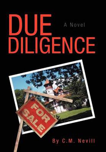 Cover image for Due Diligence