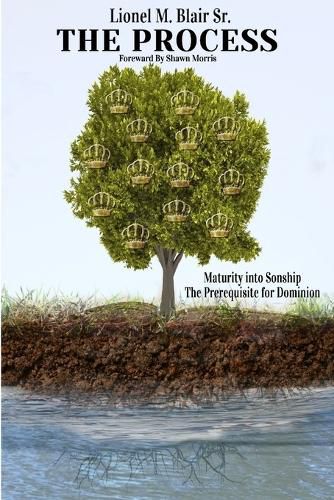 Cover image for The Process