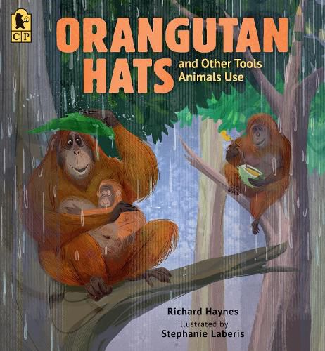 Cover image for Orangutan Hats and Other Tools Animals Use