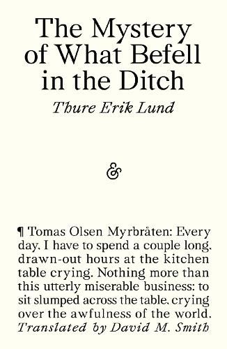 Cover image for The Mystery of What Befell in the Ditch