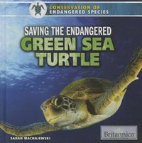 Cover image for Saving the Endangered Green Sea Turtle