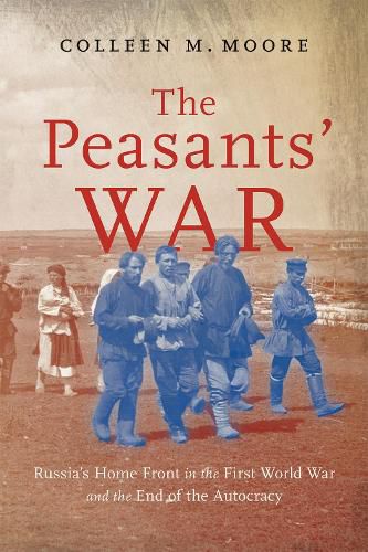 Cover image for The Peasants' War