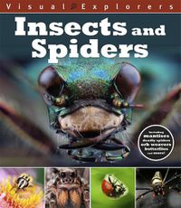 Cover image for Visual Explorers: Insects and Spiders