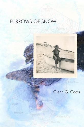 Cover image for Furrows of Snow