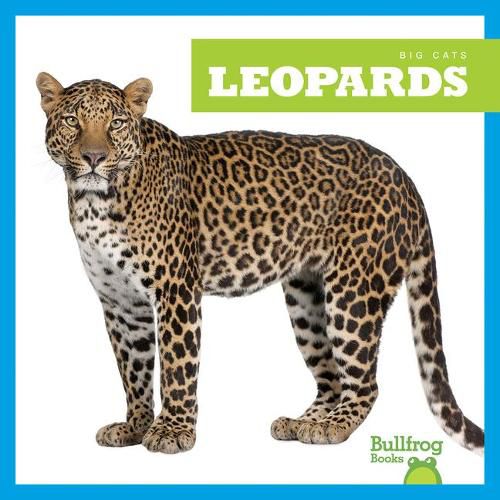 Leopards