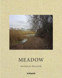 Cover image for Nicholas Pollack: Meadow