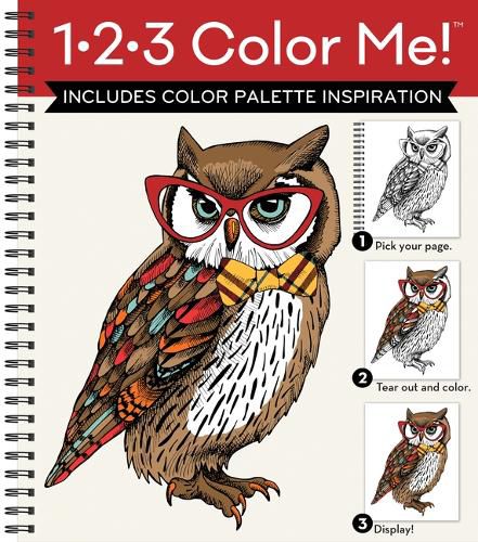 Cover image for 1-2-3 Color Me! (Adult Coloring Book with a Variety of Images - Owl Cover)