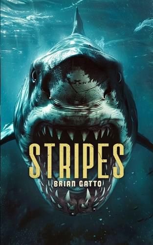 Cover image for Stripes