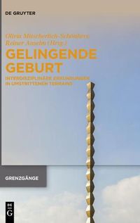 Cover image for Gelingende Geburt: Interdisziplinare Erkundungen in Umstrittenen Terrains