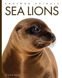 Cover image for Sea Lions