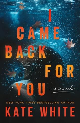 Cover image for I Came Back for You