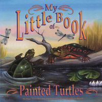 Cover image for My Little Book of Painted Turtles (My Little Book Of...)