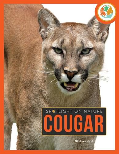 Cover image for Cougar