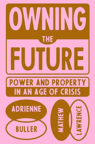 Cover image for Owning the Future: Power and Property in an Age of Crisis