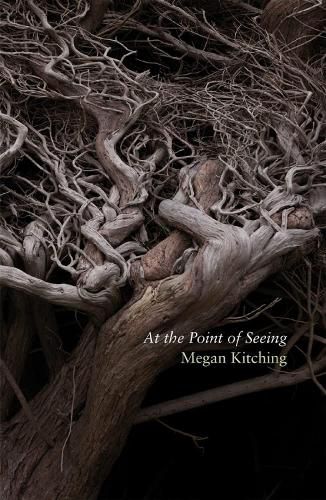 Cover image for At the Point of Seeing