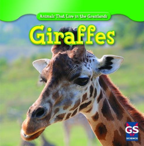 Cover image for Giraffes